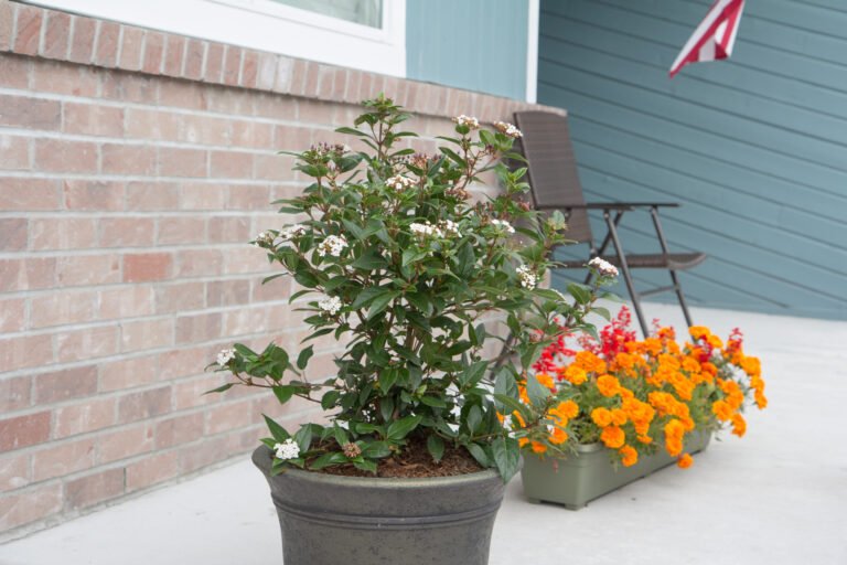 Senior care at Harbor View Adult Family Home in Tacoma, WA