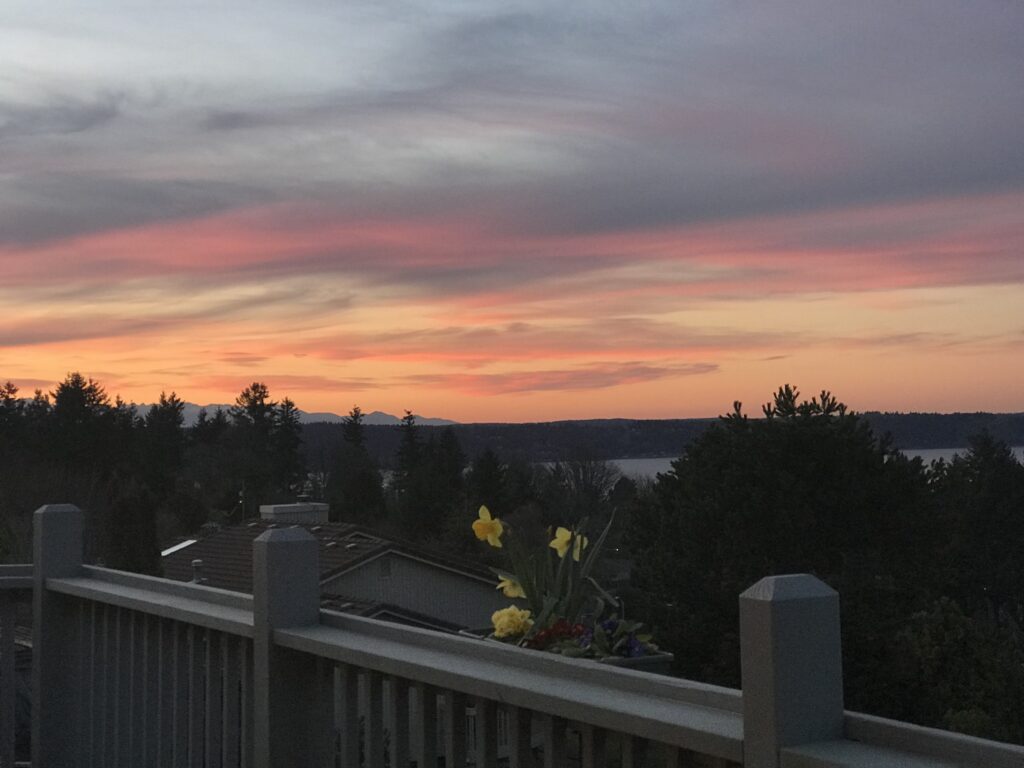 Aerial view of Harbor View Adult Family Home in Tacoma, WA