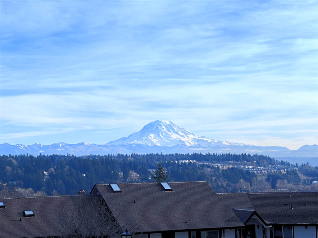 Aerial view of Rainier Vista Farm AFH in Tacoma, WA