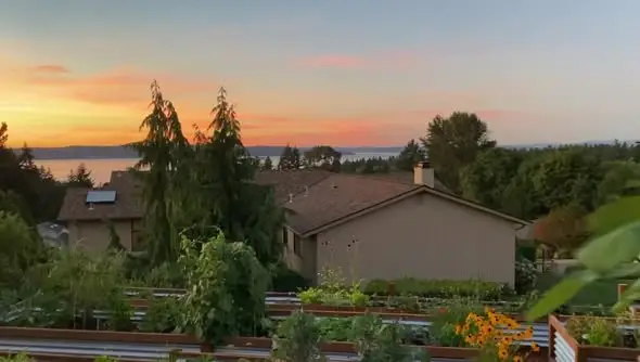 Our beautiful garden 🪴 enjoy ☀️