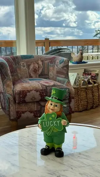 St. Patrick’s Day at Harbor View & Rainier Vista Farm AFH!