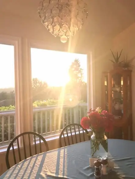 Community Photo Update 25